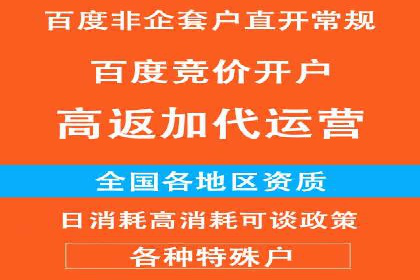 SEM代理操作技巧：成功案例揭秘
